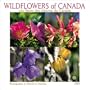 Wildflowers of Canada / Les Fleurs Du Canada: 2003
