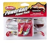 Berkley Powerbait Linear Kit - Kit de pêche - Leurres et têtes plombées - Paquet de 5