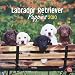labrador18 - Labrador Retriever Puppies 2010 Square Wall Multilingual Edition