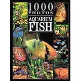 1000 photos of aquarium fish
