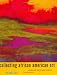 Collecting African American Art: Works on Paper and Canvas (Revised Second Printing)
