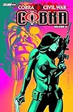 G.I. Joe. Cobra. Cobra civil war