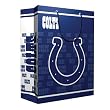 Indianapolis Colts NFL Medium Gift Bag (9.75 Tall)"