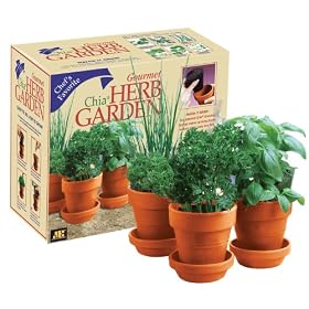 Chia Gourmet Herb Garden