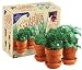 Chia Gourmet Herb Garden
