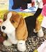 Plush Milton Bassett Hound 16