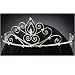 Rhinestone Tiara BASIC design