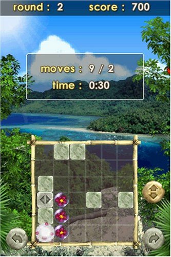 Zenses: Rainforest Edition image