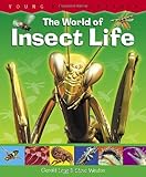 The world of insect life