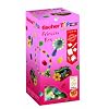 Fischertechnik 46227 - TiP Princess Box