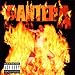 Pantera-Reinventing the Steel