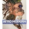 Afro-Modern: Journeys through the Black Atlantic