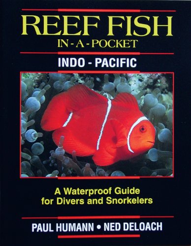 Reef Fish in a Pocket - Tropical Pacific