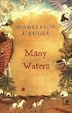 Many Waters