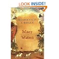 Many Waters