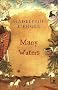Many Waters (Madeleine L'Engle's Time Quintet)
