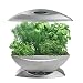 AeroGrow AeroGarden 6 with Gourmet Herb Seed Kit, Silver