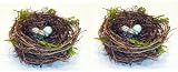 Grapevine Twig Bird Nests with 3 Robin Eggs- Set of 2