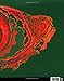 High Art: A History of the Psychedelic Poster