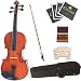 Cecilio CVN-100 4/4 (Full Size) Rosewood Fitted Solid Wood Violin + Hard Case, Bow, Rosin & Extra Set of Strings & Bridge