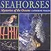 Seahorses: Mysteries of the Ocean