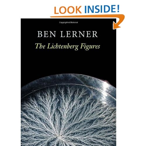 The Lichtenberg Figures (Hayden Carruth Award for New and Emerging Poets)