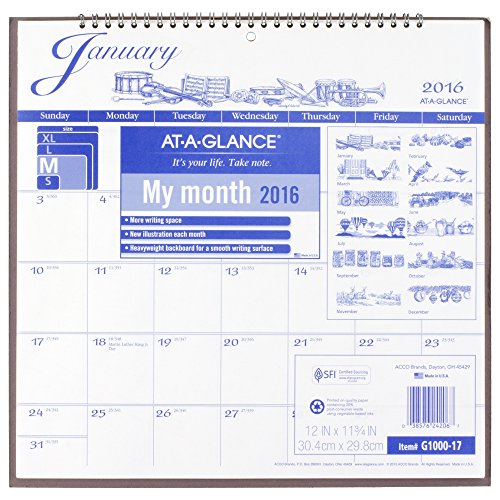 AT-A-GLANCE Monthly Wall Calendar 2016, Illustrator's Edition, 12 x 11-3/4 Inches (G1000-17)