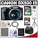 Canon PowerShot SX500 IS Digital Camera (Black) with 16GB Card + Battery + Case + Flex Tripod + HDMI Cable + Accessory Kit