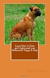 518bLJWyCSL. SL160  Understand How to Train and Realize your Bullmastiff Puppy & Dog
