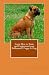Learn How to Train and Understand your Bullmastiff Puppy & Dog
