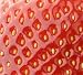 Extreme Close-up of a Fresh Strawberry. - 24