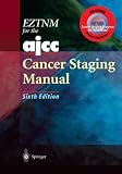 EZTNM for the AJCC Cancer Staging Manual