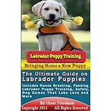 Labrador Puppy Training: The Ultimate Guide on Labrador Puppies, What to Do When You Bring Home Your New Labrador Puppy, Labrador Puppy Training, House … Safety, Dog Games That Labs Love and More