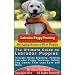 Labrador Puppy Training: The Ultimate Guide on Labrador Puppies, What to Do When You Bring Home Your New Labrador Puppy, Labrador Puppy Training, House ... Safety, Dog Games That Labs Love and More