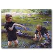 Cooling Off - Gift Enclosure Cards (set of 12)