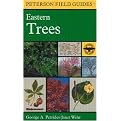 A Field Guide to Eastern Trees (Eastern United States and Canada, Including the Midwest) (The Peterson Field Guide Series, 11) (Revised) (Paperback)