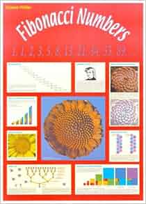 Fibonacci Numbers Poster: Amazon.co.uk: 9781907550423: Books