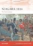 Niagara 1814: The Final Invasion