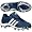 Collegiate Navy/Running White/Metallic Silver