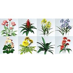Blumen & Pflanzen VA 3D Au�envisualisierung, 3D Modelle, 3D Objekte, kompatibel zu: 3ds max, Adobe Acrobat 3D, ArCon Eleco, Toolkit, Animatek World Builder, Artlantis R & Studio, Autodesk Studio Tools, Autodesk Viz, Bryce 1-5, Bryce 6, Carrara ab V3, Cinema4D (ab V7), Cinema4D (ab V8), Deep Exploration, Deep Paint 3D, Electric Image, form.Z, HyperShot (Bunkspeed), Keyshot LightWave3D (V6-V9), Maxwell Render, Maya, Microspot Interiors, MicroStation V8 XM, modo (Luxology), NGrain Producer, Photoshop CS3 Extended, Piranesi Poser 4 - 7, Pytha V19, Rhino, Sketchup, Sketchup + VRay, SOFTIMAGE|XSI, solidThinking, Strata CX, Vectorworks 12 und h�her, VA Software, Vue 4 und h�her, World Construction Set, Visual Nature Studio, VA HausDesigner, Virtual Architecture
