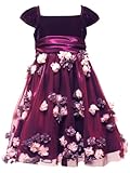 Rare Editions Girls 7-16 Velvet To Tulle Dress With 3D Flowers, Burgundy, 14