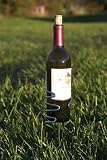 Picnic Plus Stainless Steel Wine Bottle Holder