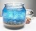 Far Harbor Gel Candle