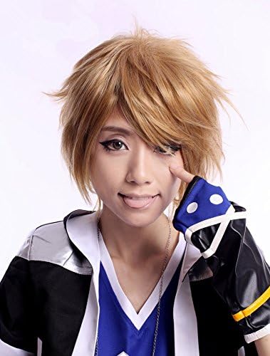 Generic Cartoon Cosply 26cm Cosplay Wig Kingdom Hearts Sora