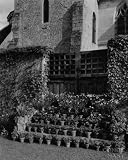 House & Garden French Garden Photograph, Framed Print (18x24-inch)