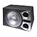 Axton Subwoofer 30Cm Ab30