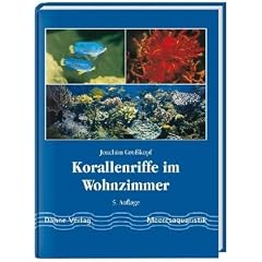 Korallenriffe im Wohnzimmer