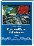 Korallenriffe im Wohnzimmer