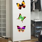 PEMA WANDTATTOO w548 3x Stück 32x29 cm Schmetterlinge Wandaufkleber Wandfolie 3 Stück Digitaldruck