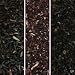 breakfast tea blend collection